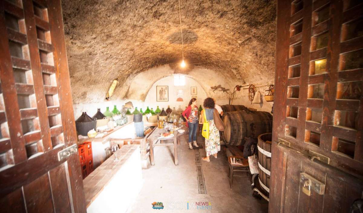 Andar per Cantine 5