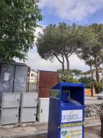 oli-comune-di-ischia-2