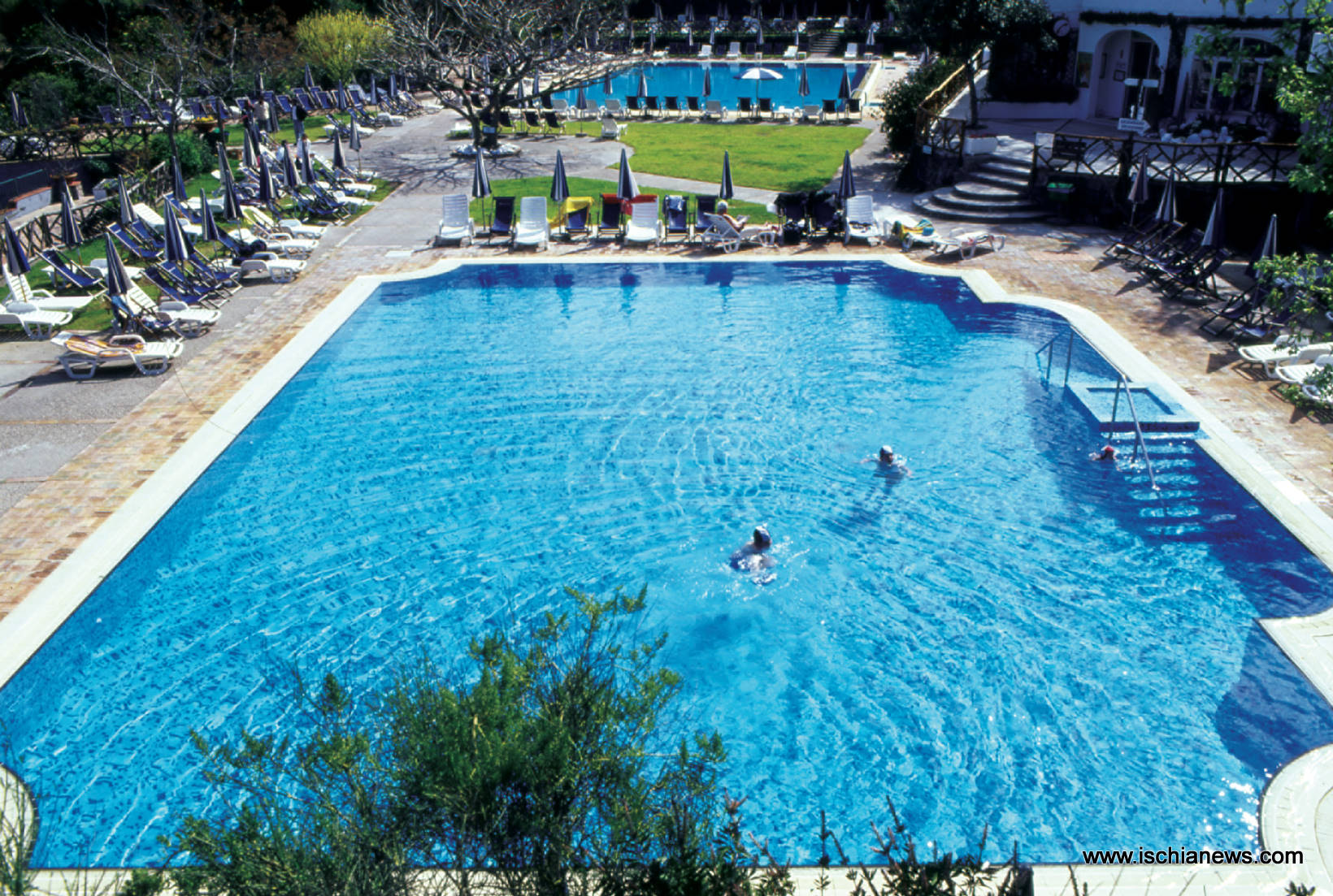 piscina olimpionica