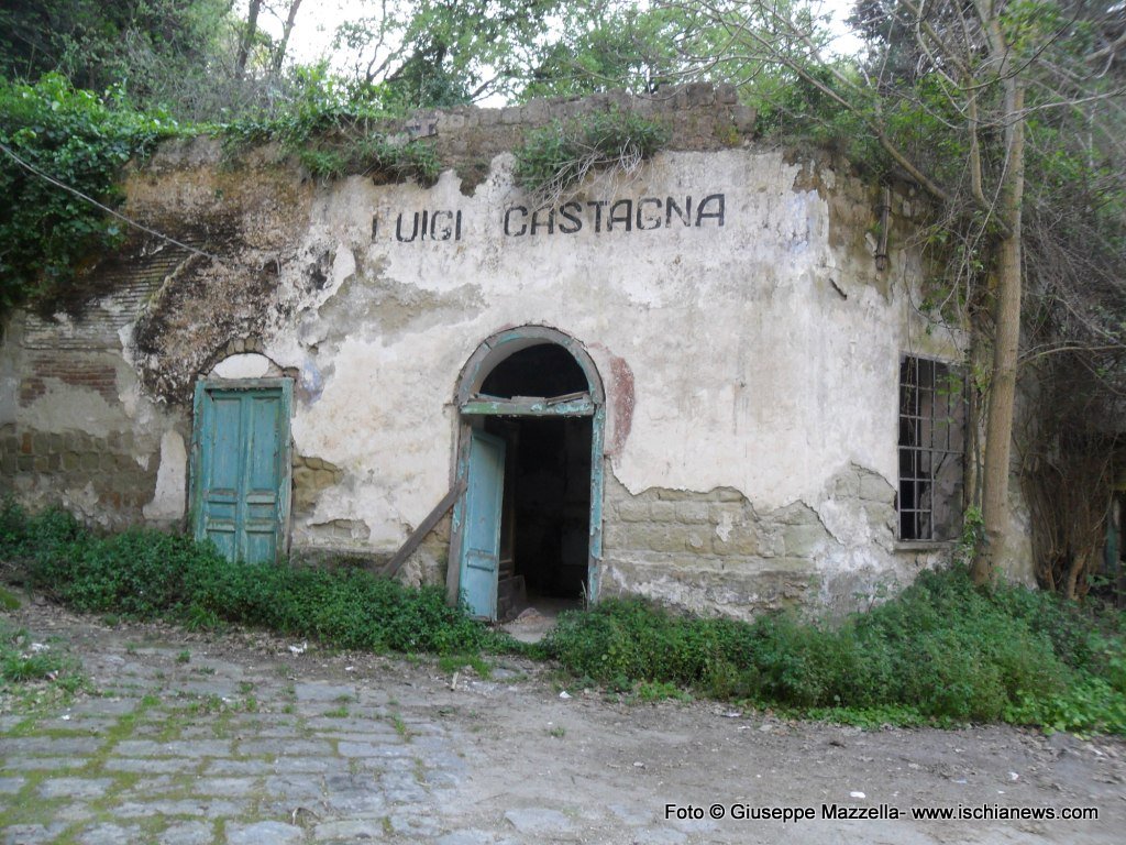 Le terme in abbandono del bacino idrotermale di La Rita 