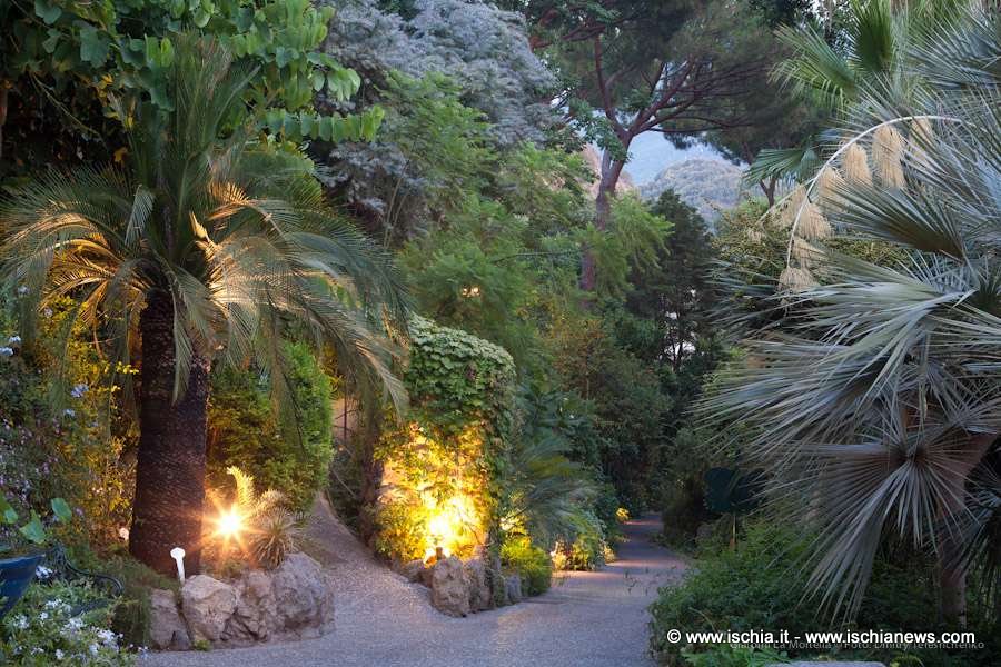 Giardini-la-mortella-forio-alla-sera