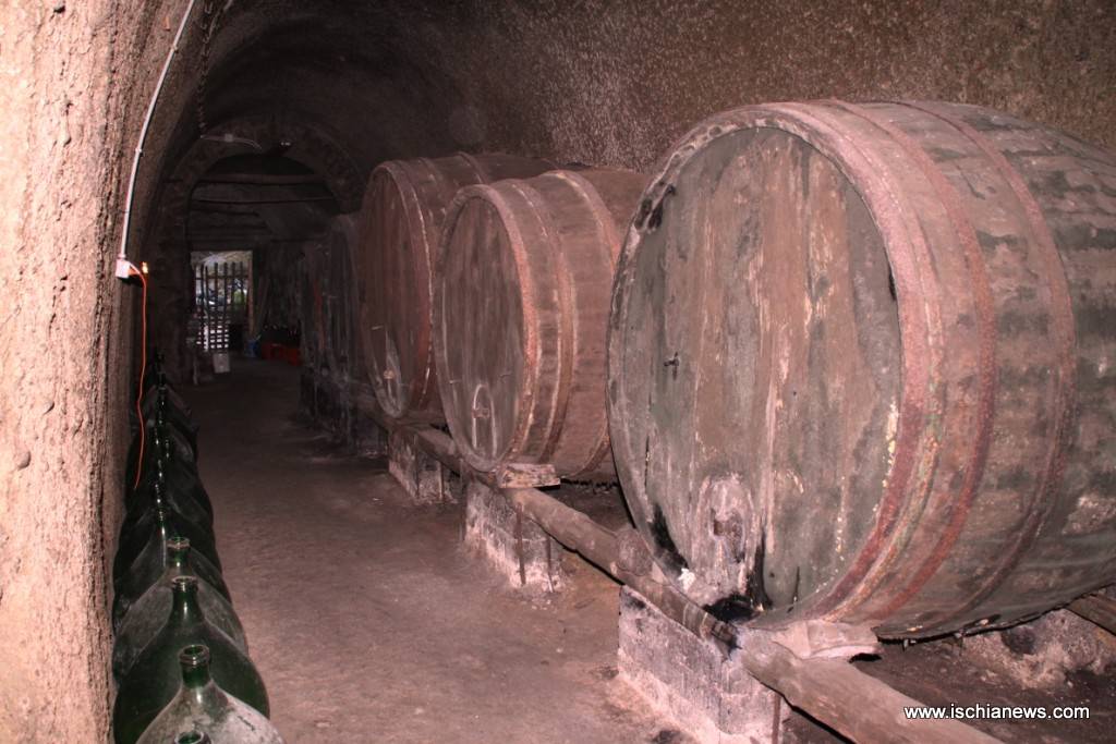 cantina-cenatiempo-panza