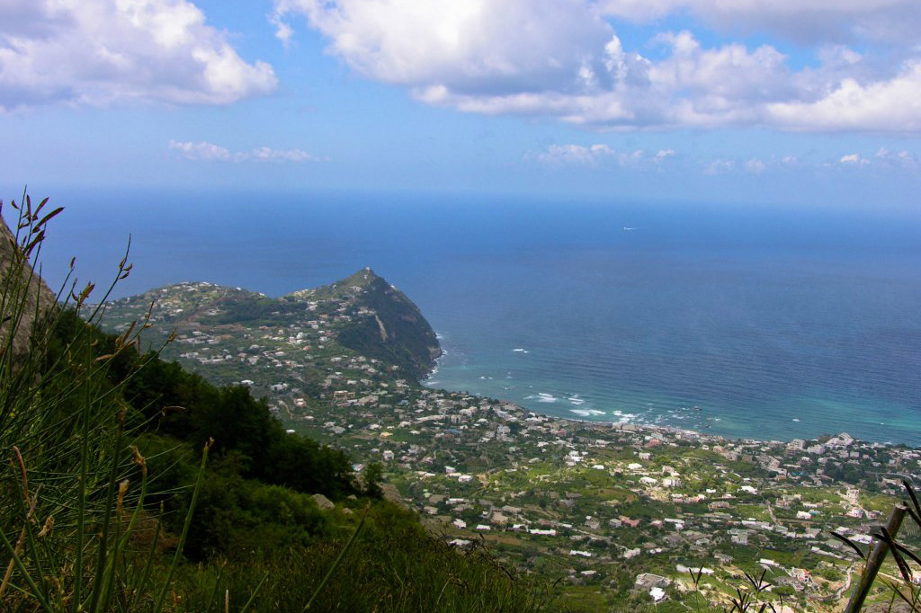 Vista dal bosco della falanga